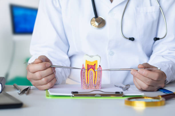 Best Emergency Dental Care for Broken or Chipped Teeth in Oliver Springs, TN